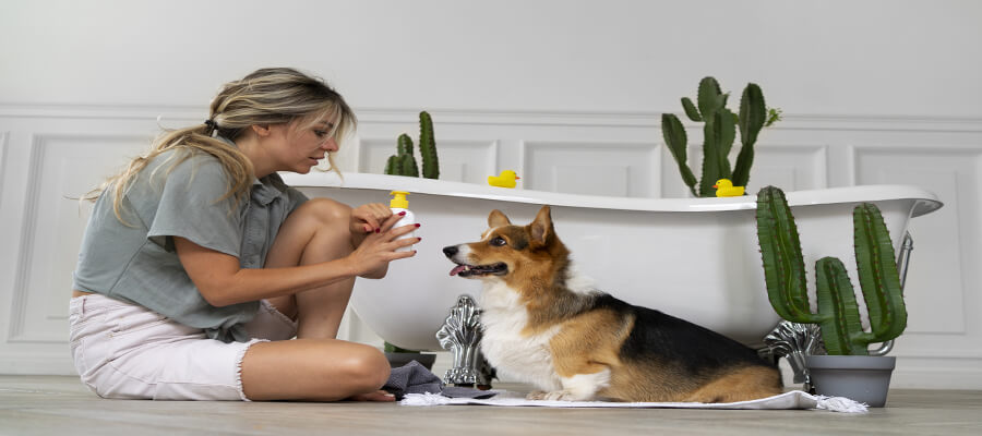 The Best Shampoos for Dogs with Sensitive Skin